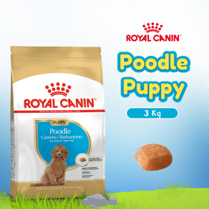 RC POODLE JUNIOR 3KG