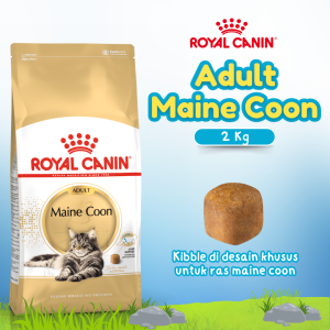 RC ADULT MAINE COON 2 KG FBN(25500200)