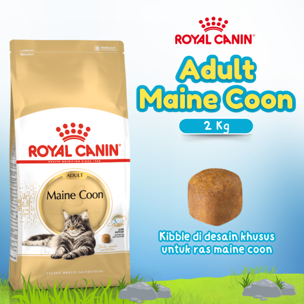RC ADULT MAINE COON 2 KG FBN(25500200)