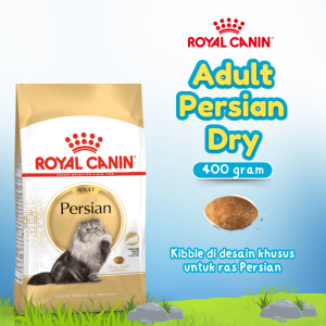 RC 30 PERSIAN 400GR (25520040)