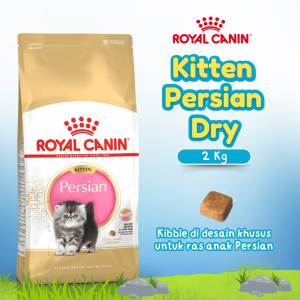 RC 32 KITTEN PERSIAN 2KG (25540200)