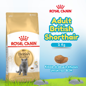 RC BRITISH ADULT SHORTHAIR 2KG (25570200)