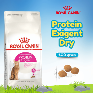 RC EXIGENT PROTEIN 400G (25420040)