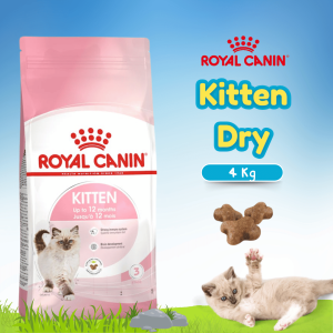 RC 36 KITTEN 4KG (25220400)