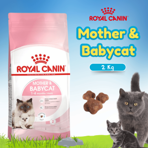 RC 34 BABY CAT 2KG (25440200)