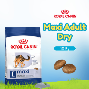 RC MAXI ADULT 10KG (30071000)