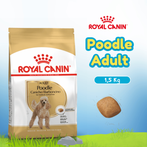 RC POODLE ADULT 1,5KG