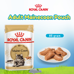 RC WET MAINECOON 85G