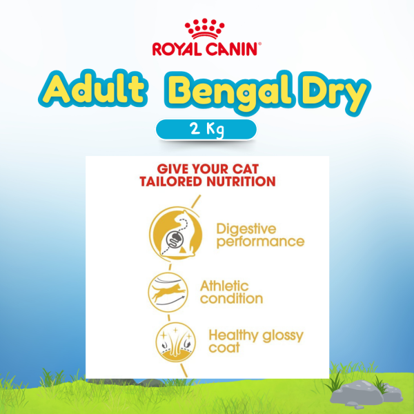 RC BENGAL 2KG (43700200)